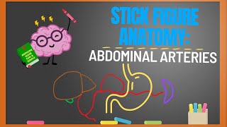 Stick Figure Anatomy Abdominal Arteries [upl. by Ettevram]