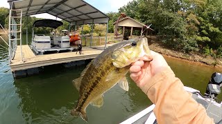 Fall Bass Fishing  Wedowee AL [upl. by Aneen]