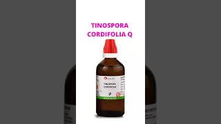 Tinospora Cordifolia Q spermcount immunity wbccount saishreehomoeo [upl. by Wake]