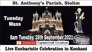 Tuesday Konkani Mass at 8am 28th September 2021  St Anthonys Church Siolim [upl. by Raddy]