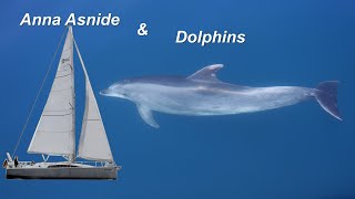 Anna Asnide amp Dolphins [upl. by Iahk]