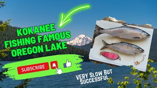 Kokanee Fishing Famous Oregon Lake  VERY SLOW But Still SUCCESSFUL pnwfishing kokaneefishing [upl. by Lahcim]