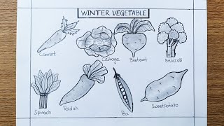 Winter season vegetables drawing  Winter Vegetables  Vegetables drawing  School project [upl. by Erminie]