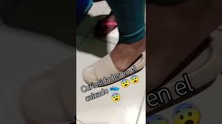 El misterio de las zapatillas 👟👞 shorts viral [upl. by Laven410]