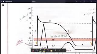 Cardiac Action Potential 2 [upl. by Raamal]