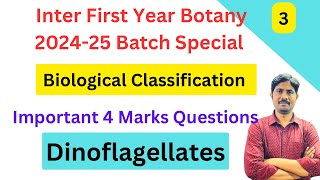 Dinoflagellates  Biological Classification Important Marks Questions  Inter First Year Botany [upl. by Nastassia]