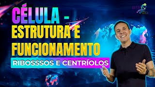 Biologia Celular  Célula  Estrutura e funcionamento  Ribosssos e Centríolos [upl. by Algar819]