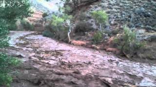 Flash flood near Virgin Utah [upl. by Nylcaj]