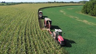 Chopping Our Biggest Field  Corn Silage 2023 [upl. by Maurine]