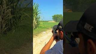 Airgun hunting shikar airgunhunting huntingbirds birdcatching hunting hunting shikari [upl. by Rubio]