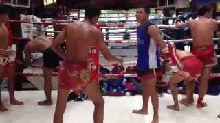 muay thai kick pad work [upl. by Saturday31]