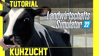 LS 22 Kühe Tutorial Kurz leicht und verständlich erklärt [upl. by Bever]