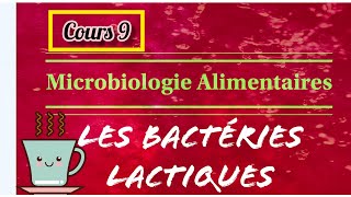 👉 Les Lactobacillus ⚠️ [upl. by Tnomal101]