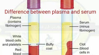 Difference between plasma and serum प्लाजमा और सिरम में क्या अंतर है [upl. by Edualc]