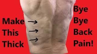 Erector Spinae Muscles Exercises [upl. by Fanestil436]