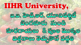 IIHR విత్తనాలు ఆర్డర్ చేసే విధానం  How to order Arka seeds from IIHR Bangalore 2020  Agriculture [upl. by Thurmann]