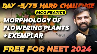 Morphology of Flowering Plants  Top 250 MCQs  Day 575  75 Hard Challenge  NEET 2024 [upl. by Hollenbeck]