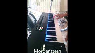 Rammstein some sounds and samples on keyboard PART1 [upl. by Odnalref]