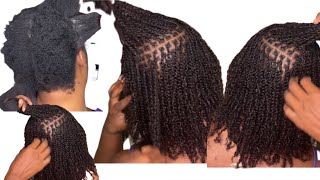 How to micro twist 4C Hair Using Afro bulk human hair microtwists twist minitwist [upl. by Tnaryb]