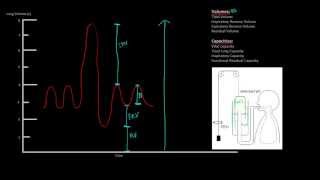 Respiratory Physiology Spirometry lung volumes and capacities [upl. by Bob]