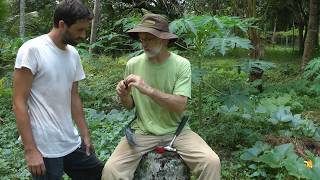 Scything  Peening your Scythe Blade with Alexander from scytheworkscom [upl. by Dleifxam636]