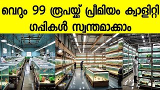 99 രൂപയ്ക്ക് പ്രീമിയം ക്വാളിറ്റി ഗപ്പികൾ സ്വന്തമാക്കണോ  AquaprinceGuppyFarm [upl. by Marra]