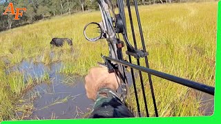 🐗 Pig Compound Bow Hunting Australia Wild Boars EP21 [upl. by Emerick]