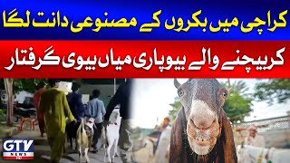 Karachi Couple Arrested For Selling Goats With Fake Teeth  Eid ul Adha 2024  Breaking News [upl. by Pryor264]