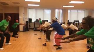 Strength Training Workout for Older Adults [upl. by Kjersti361]