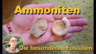 Ammoniten Die besonderen Fossilien [upl. by Alyk]