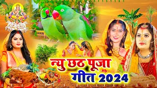 VIDEO  दउरवा लावे गइनी ऐ दीनानाथ  छठ पर्व गीत  sunita lokgeet paramparik chath Vrat Geet [upl. by Pandolfi263]