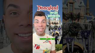 Disneyland’s 5 New Holiday 2024 Experiences disneyland [upl. by Atsejam]