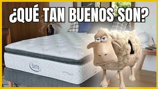 ✅ 9 Mejores COLCHONES VISCOLELASTICOS para Dormir 🛏️ Colchón de Espuma Viscoelástica de Memoria [upl. by Ecerahc411]