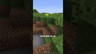 WorldEdit Hacks 3 How To Make CUSTOM RIVERS in Minecraft [upl. by Paolina]