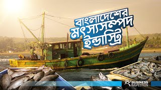 বাংলাদেশের মৎস্য শিল্প  Fisheries Industry In Bangladesh [upl. by Zsolway]