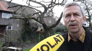 quotStunde der Wintervögelquot  Birdlife Vorarlberg Obmann im Interview [upl. by Odlo]