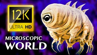 MICROSCOPIC WORLD 12K ULTRA HD [upl. by Francine]