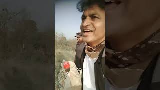 Mujhko pina hai pine do shortvideo bollywoodsongs mithunchakraborty viralshorts [upl. by Eachelle812]