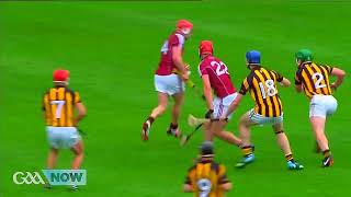 KING HENRY SHEFFLIN CANT OUTSHINE THE KING OF KINGS JOE CANNING  KILKENNY V GALWAY 2014 LEINSTER [upl. by Mallissa]