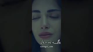 Namal Novel by Nimra Ahmad Haneen yousfampHashim kardarviralvideo trendingshorts youtubeshorts [upl. by Nonnaihr]