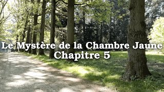 Le Mystère de la Chambre Jaune  Gaston Leroux  Chapitre 5 [upl. by Ydnolem]