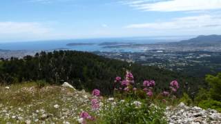 CHÂTEAUVALLON LE BAOU DES QUATRES OURES [upl. by Lachus938]