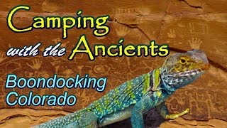 Camping with the Ancients  Boondocking Colorado [upl. by Edlitam983]