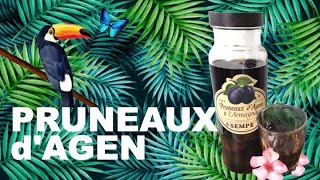 What is PRUNEAUX DAGEN and How to Use It Prunes and Spirit the FRENCH WAY from Agen [upl. by Giverin671]