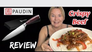 PAUDIN REVIEW with Chinese style sweet chilli crispy beef cook amp eat chefknife chinese review [upl. by Dana]