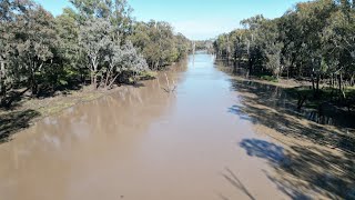 Condamine River  Chinchilla  Queensland  Australia [upl. by Sheets454]