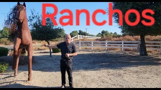 🐴🐴🐴 Comprar o NO  tu RANCHO 🐴🐴🐴 [upl. by Anilrahc]