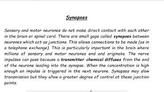 CCEA GCSE BIOLOGY synapses and the reflex arc [upl. by Aiym]