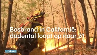 Bosbrand in Californie dodental loopt op naar 31  RTL NIEUWS [upl. by Petulah]