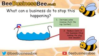 Cash Flow Forecasting Bee Business Bee [upl. by Berners]